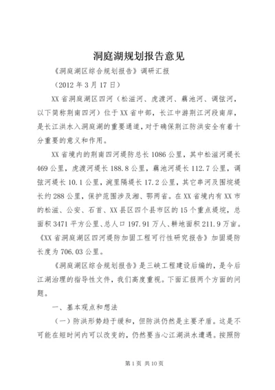 洞庭湖规划报告意见 (2).docx