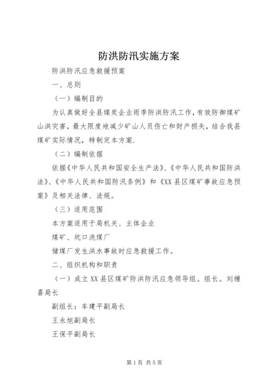 防洪防汛实施方案.docx