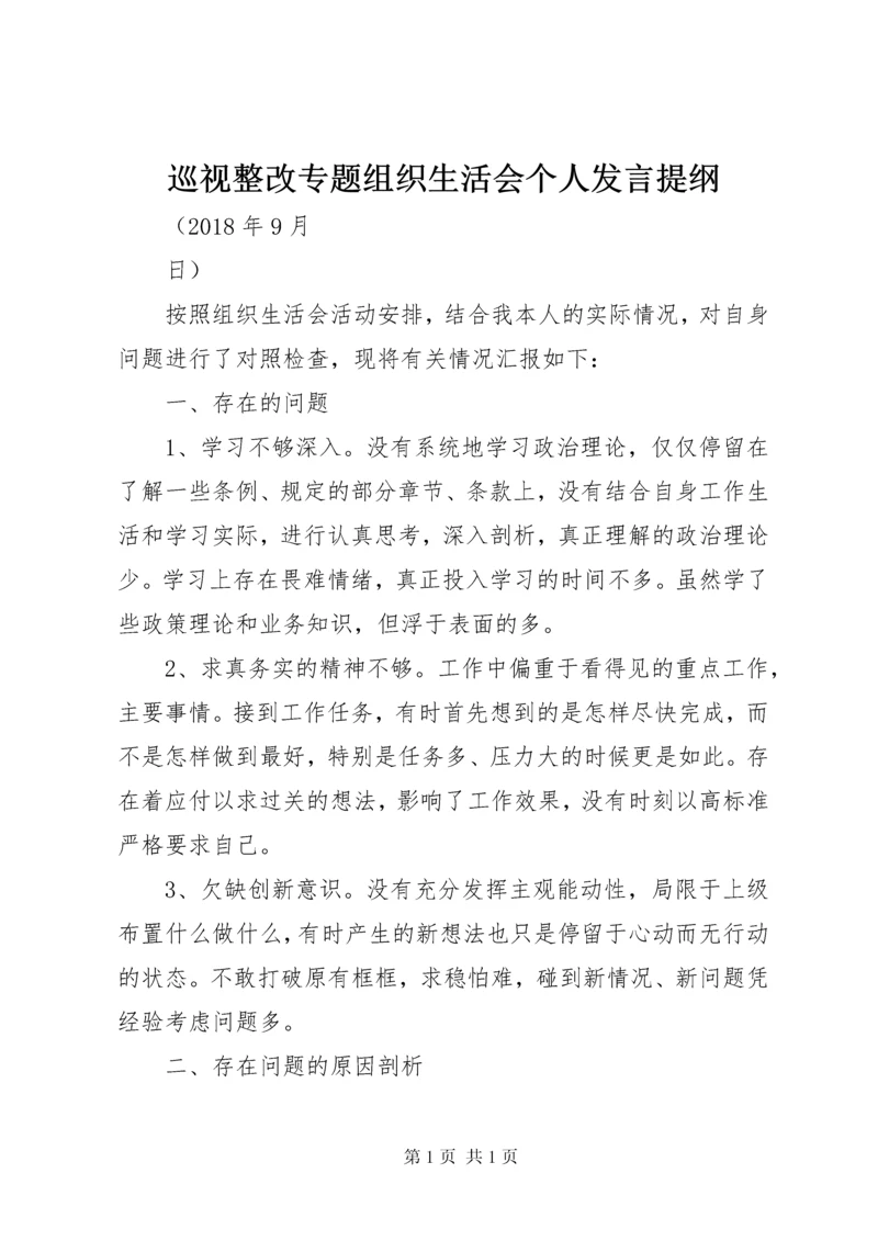 巡视整改专题组织生活会个人发言提纲 (2).docx