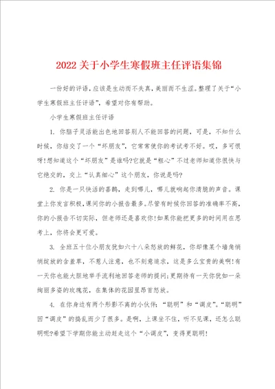 2022关于小学生寒假班主任评语集锦