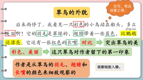 第15课《搭船的鸟》（第二课时）课件