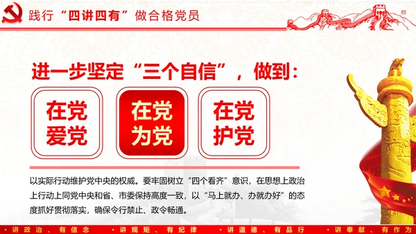 践行四讲四有，争做合格党员