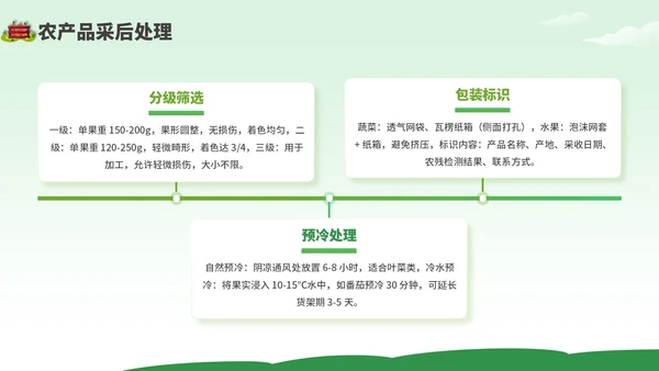 绿色卡通风现代农业种植技术PPT模板