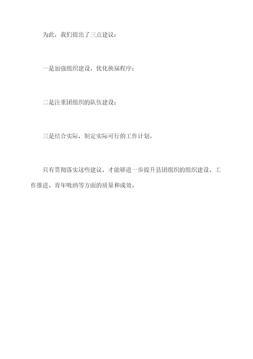 县团组织换届调研报告