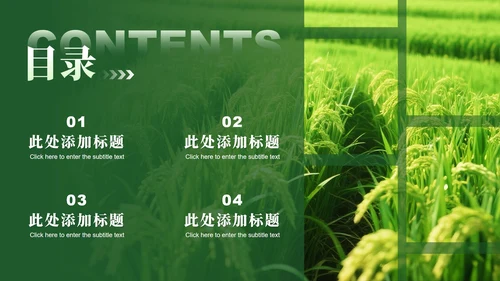 绿色渐变简约风三下乡社会实践纪实PPT模板