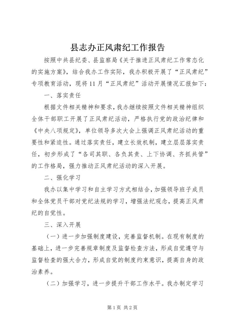 县志办正风肃纪工作报告.docx