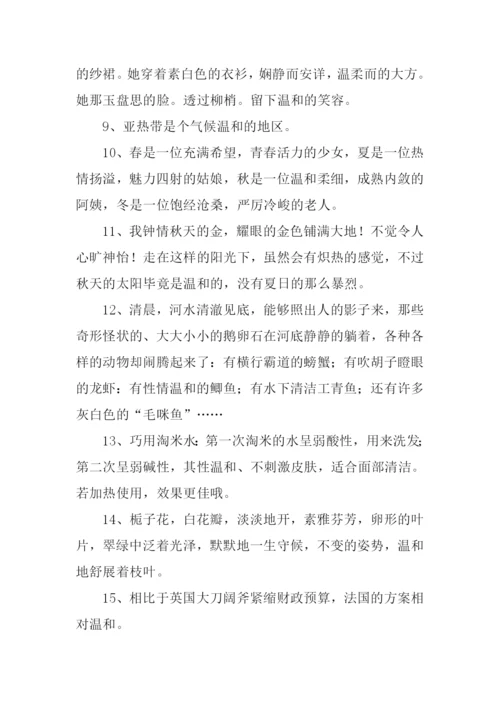 温和的近义词.docx