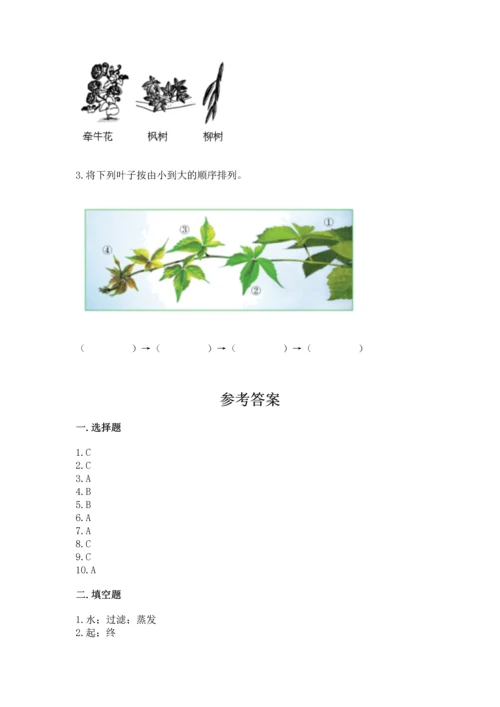 教科版科学一年级上册期末测试卷精品（网校专用）.docx