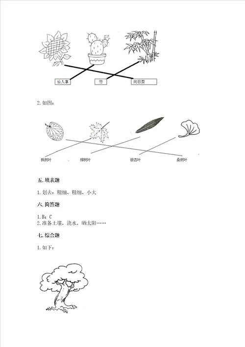 教科版科学一年级上册第一单元植物测试卷及参考答案名师推荐