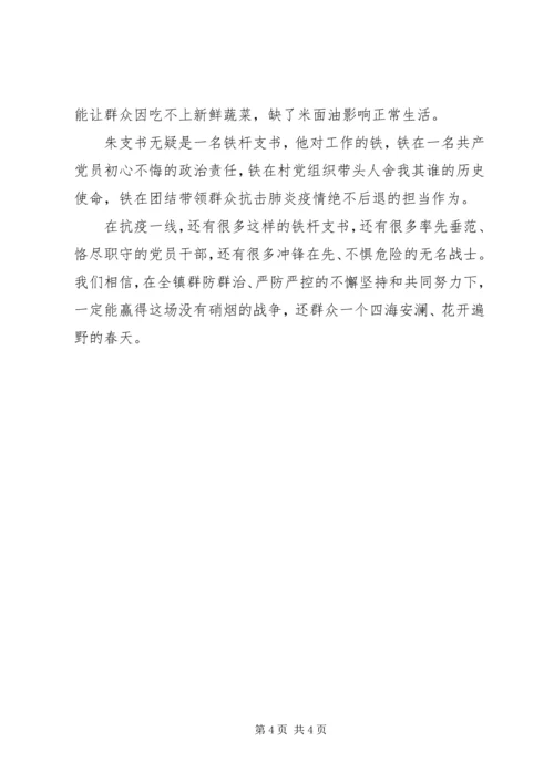 村党支部书记抗击疫情先进个人事迹材料.docx