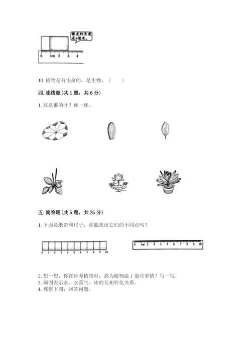 教科版一年级上册科学期末测试卷及完整答案（夺冠系列）.docx