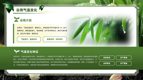 绿色系传统文化二十四节气谷雨主题PPT模板