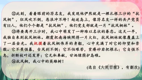 15《白杨礼赞》课件