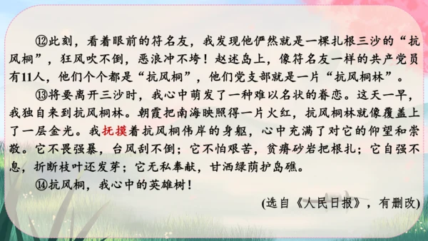 15《白杨礼赞》课件