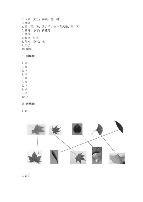 教科版一年级上册科学期末测试卷附答案下载.docx