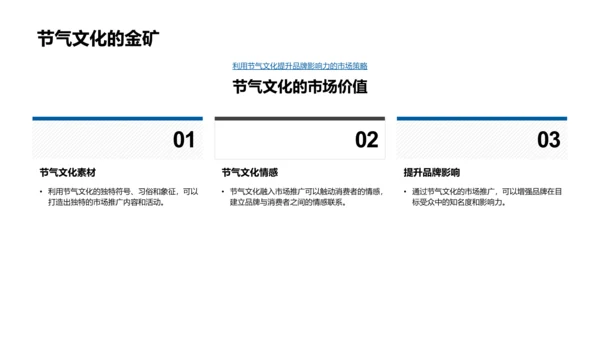 大寒节气市场推广策略PPT模板