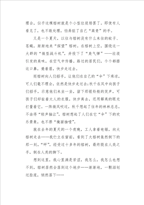 初一作文状物榕树750字