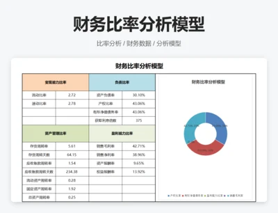 财务比率分析模型