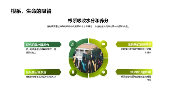 揭秘植物生命