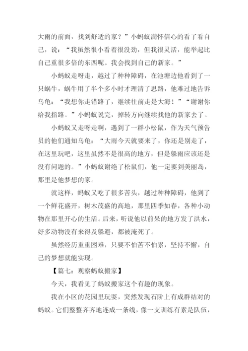 观察蚂蚁搬家的作文.docx