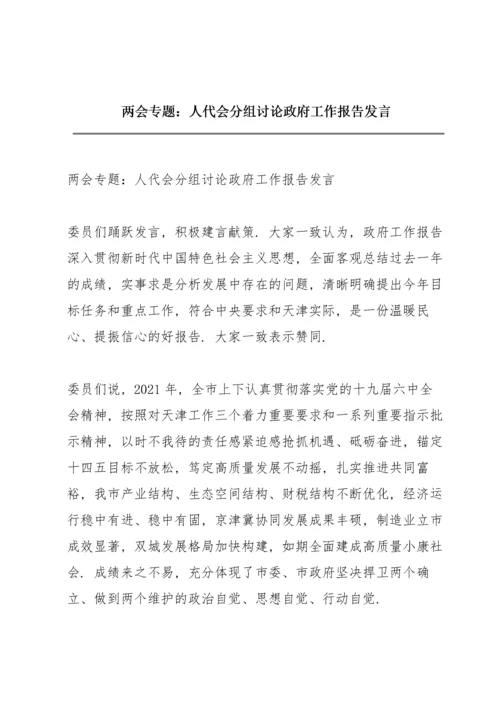 两会专题：人代会分组讨论政府工作报告发言.docx