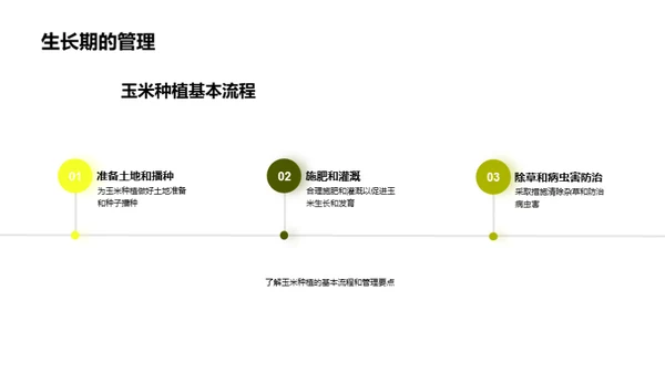 优化玉米种植，挖掘增产潜力