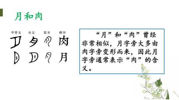 统编版语文一年级下册语文园地四（课件）