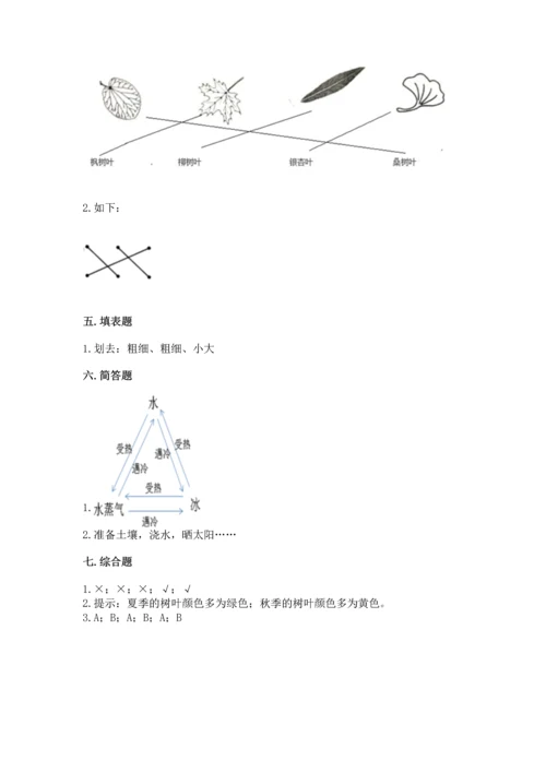 教科版科学一年级上册第一单元《植物》测试卷及参考答案【综合卷】.docx