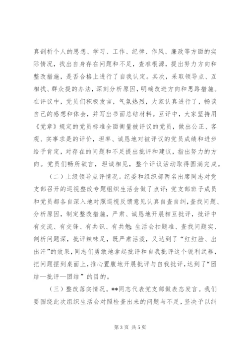 XX年党支部组织生活会总结报告.docx