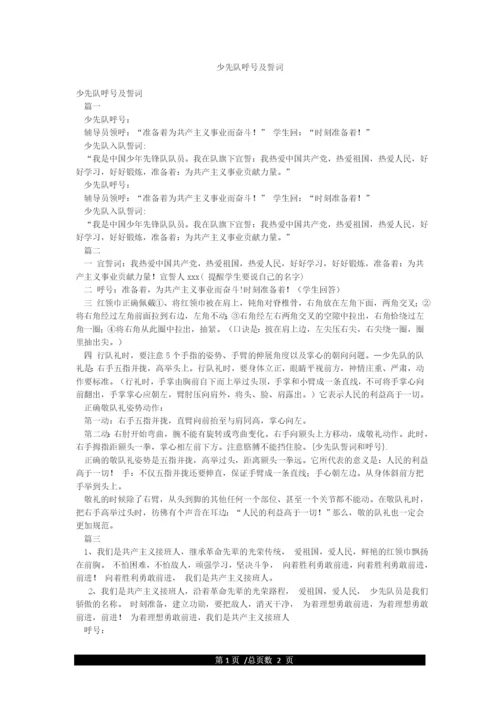 少先队呼号及誓词.docx