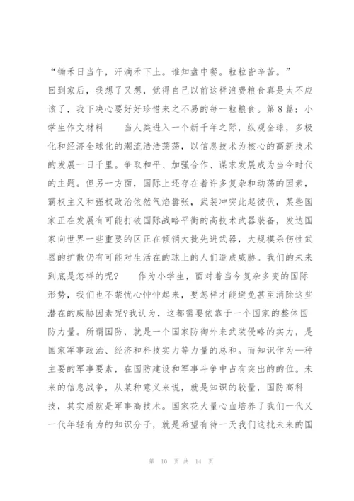 小学生作文材料范文九篇.docx