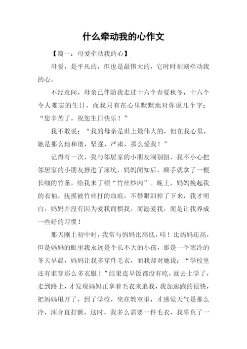 什么牵动我的心作文.docx