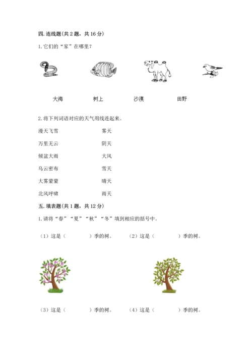 教科版二年级上册科学期末测试卷含答案【巩固】.docx