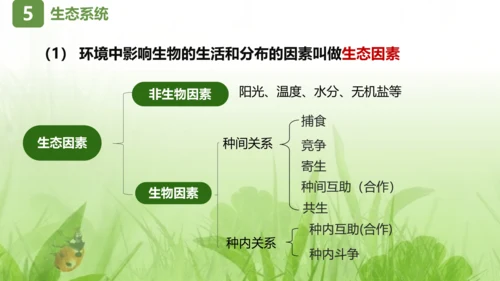 七上第一单元 生物和生物圈复习课件(共26张PPT)