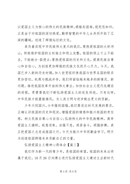 弘扬爱国主义精神心得体会.docx