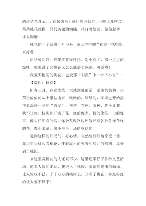 小学生描写桃花的作文.docx