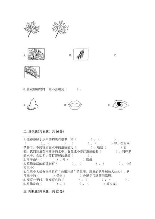 教科版科学一年级上册第一单元《植物》测试卷【满分必刷】.docx