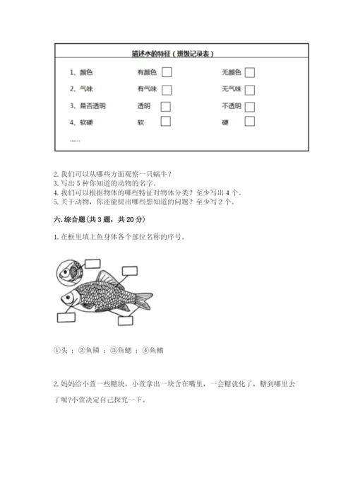 教科版一年级下册科学期末测试卷附答案（满分必刷）.docx