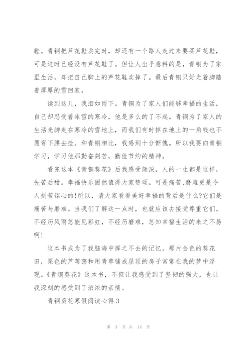 青铜葵花寒假阅读心得10篇.docx