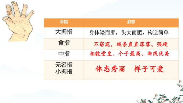 22 手指 课件