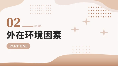 棕色大学生职业生涯规划PPT模板