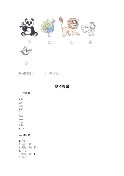 教科版科学三年级下册期末测试卷精品（能力提升）.docx