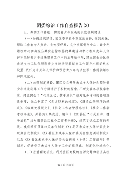 团委综治工作自查报告(3).docx