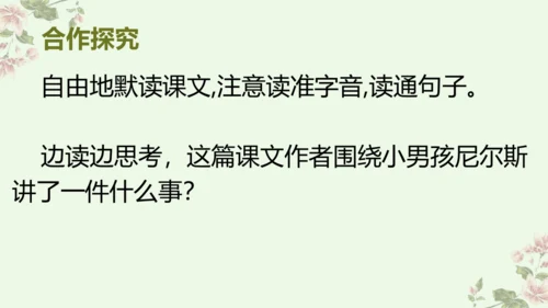 统编版六年级下册语文《6.骑鹅旅行记》（节选）（课件）