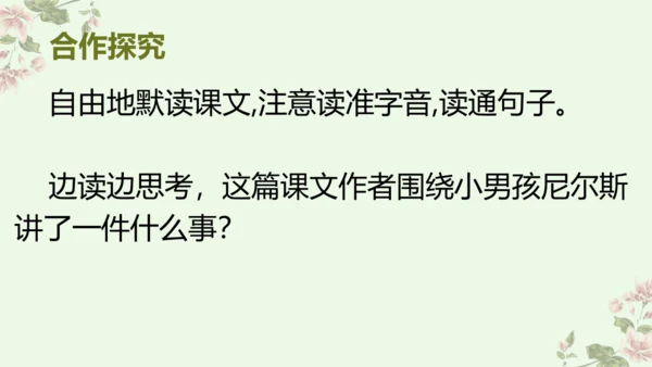 统编版六年级下册语文《6.骑鹅旅行记》（节选）（课件）
