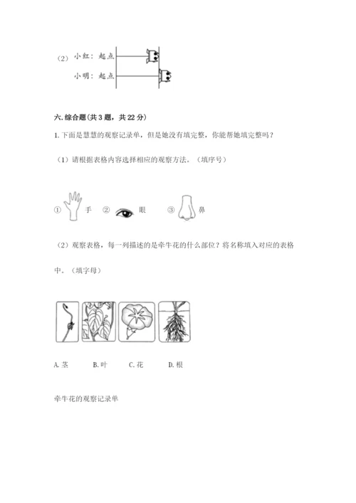 教科版一年级上册科学期末测试卷精品【基础题】.docx