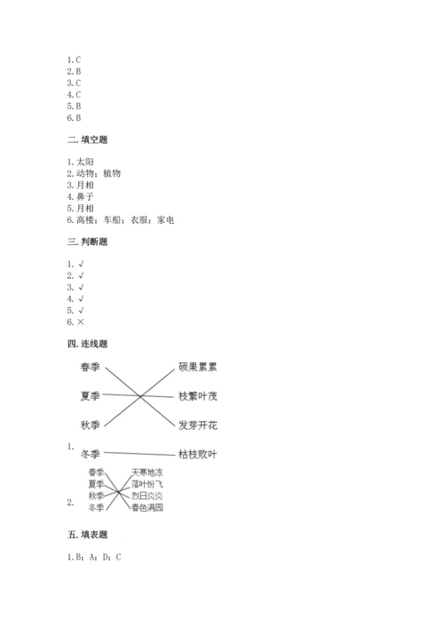 教科版二年级上册科学期末测试卷附参考答案（培优a卷）.docx