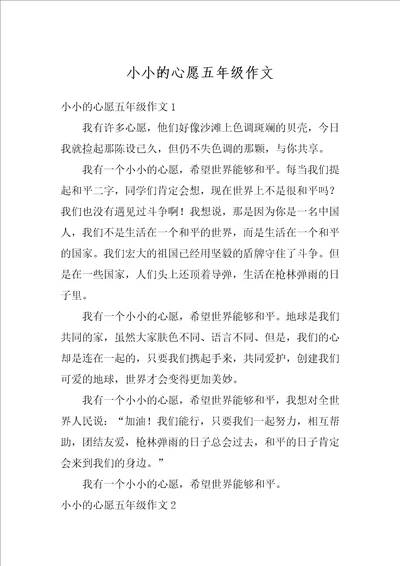 小小的心愿五年级作文