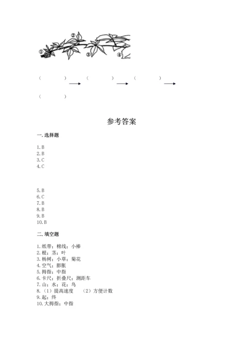 教科版一年级上册科学期末测试卷及答案（全优）.docx