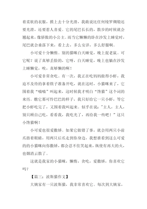 波丝猫作文0.docx